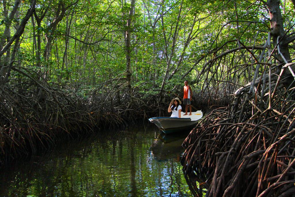 Mangrove Paradise Retreat Нуса-Лембонган Экстерьер фото