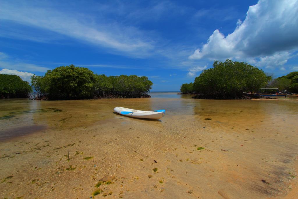 Mangrove Paradise Retreat Нуса-Лембонган Экстерьер фото