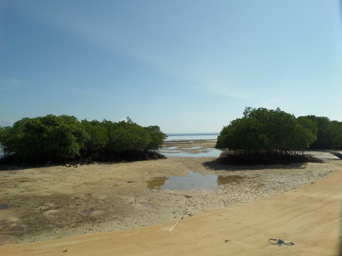 Mangrove Paradise Retreat Нуса-Лембонган Экстерьер фото